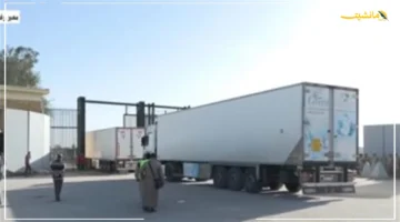 2800 طن مساعدات إنسانية تفاصيل انطلاق قافلة زاد العزة الـ 33 إلى غزة 1